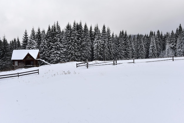 Alpejski dom pokryty śniegiem w górach