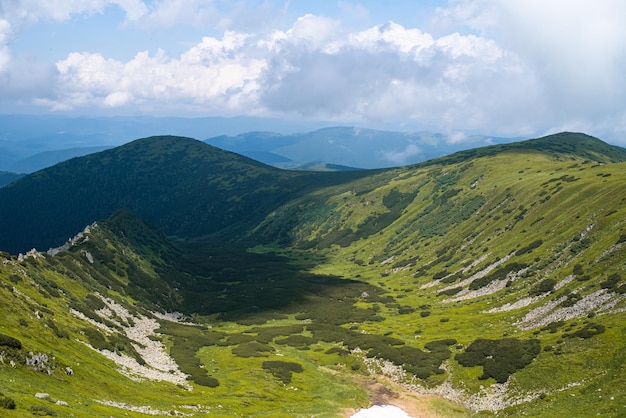 Alpejski krajobraz łąki latem