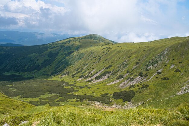 Alpejski krajobraz łąki latem