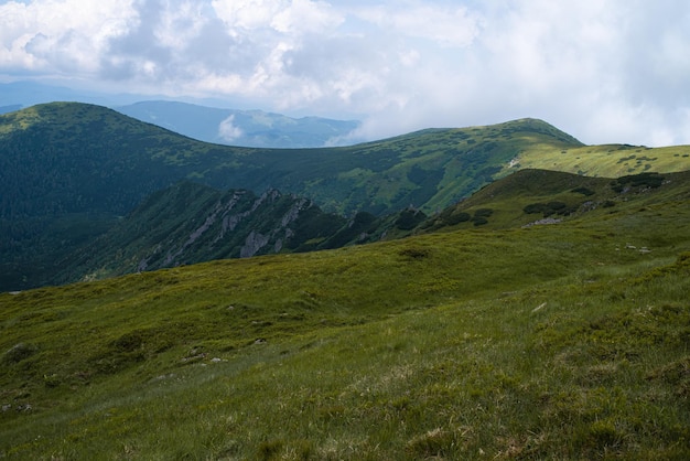 Alpejski krajobraz łąki latem