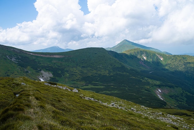 Alpejski krajobraz łąki latem