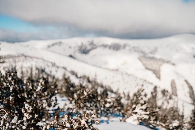 Alpejskie góry krajobraz z białym śniegiem i błękitnym niebem Zachód słońca zima w przyrodzie Mroźne drzewa pod ciepłym światłem słonecznym Wspaniały zimowy krajobraz