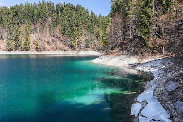 Alpejskie góry odbijające się w szmaragdowej spokojnej wodzie jeziora Tovel, Ville d'Anaunia, Trentino, Włochy