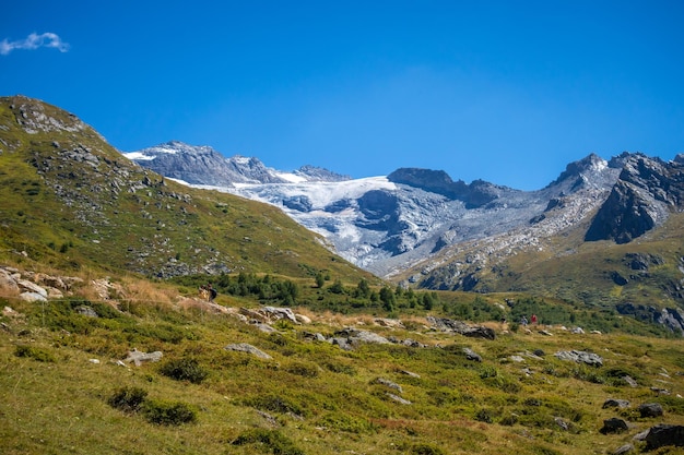 Alpejskie lodowce i krajobraz gór we francuskich Alpach