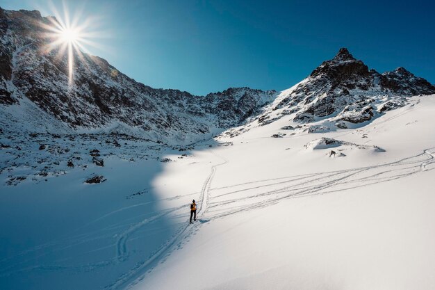 Alpinista Backcountry Ski Walking Skialpinista W Górach Skialpinizm W Alpejskim Krajobrazie Z Ośnieżonymi Drzewami Przygoda Sporty Zimowe Wysokie Tatry Krajobraz Słowacji