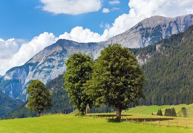 Alpy Górskie łąki Spokojny Letni Widok, Austria, Obrzeża Wsi Gosau