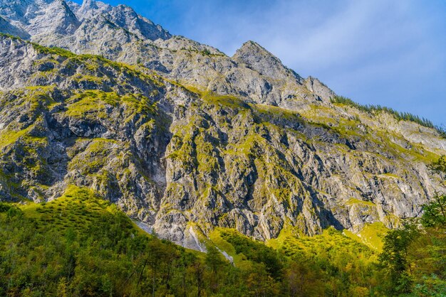 Alpy góry pokryte lasem Koenigssee Konigsee Park Narodowy Berchtesgaden Bawaria Niemcy