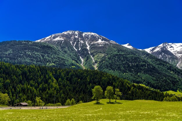 Alpy z lasem i polami Fiesch Goms Wallis Vala