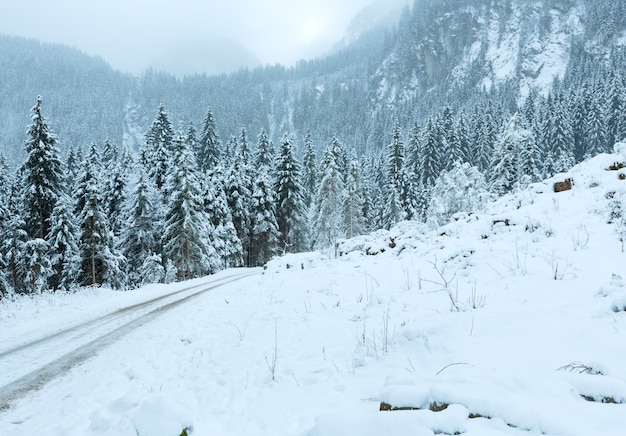 Alpy zachmurzony zimowy krajobraz górski z wiejską drogą i opadami śniegu (Austria, Tirol).