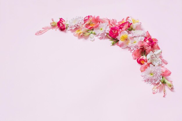 Alstremeria i chryzantemy kwitną na różowym tle