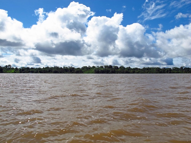 Amazonka w Peru Ameryka Południowa