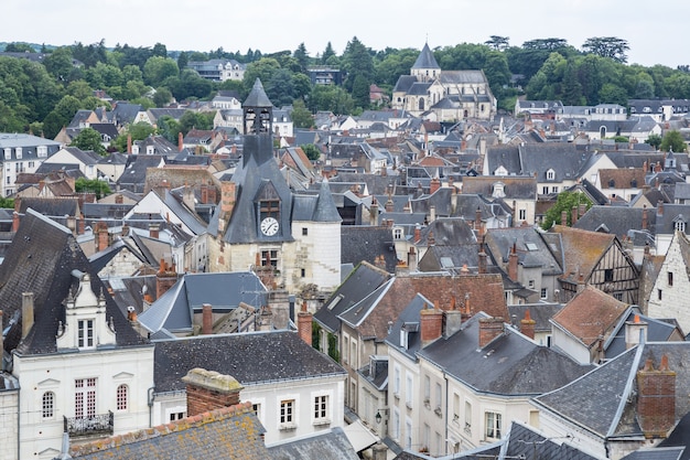 Amboise Cityscape Francja