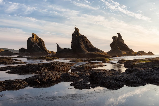 Amerykański tło przyrody Skalista plaża na zachodnim wybrzeżu Oceanu Spokojnego