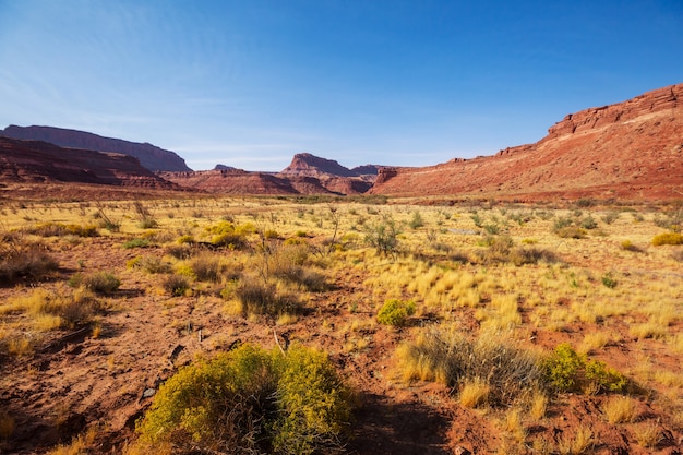 Amerykańskie Krajobrazy- Preria Jesienią, Utah, Usa.