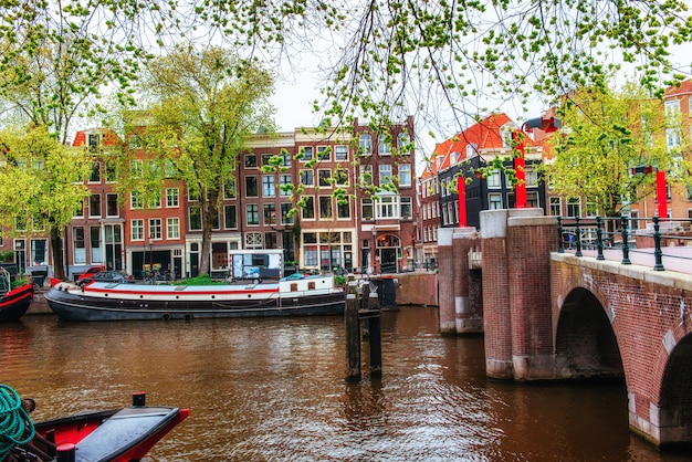 Amsterdamskie kanały i typowe domy.