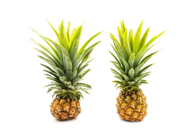 Ananas ze słowem ananas na nim