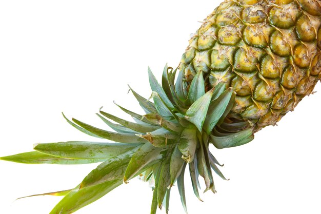 Ananas