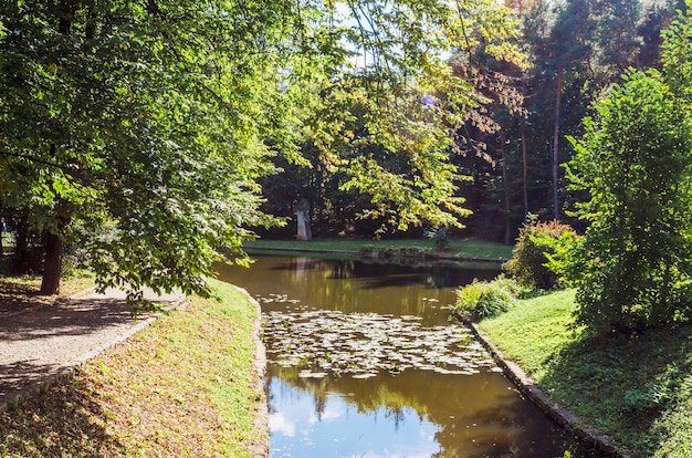 Zdjęcie andscape, jezioro w parku z alea