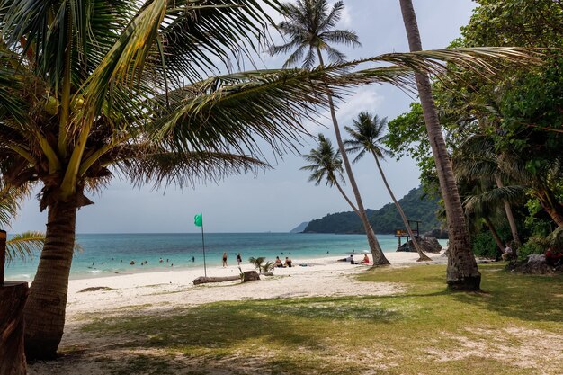 ang thong marine park narodowy wyspa piasek samui angthong marine tło marin tajlandia