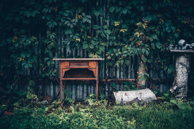 Antyczny biurko stojące w ogrodzie w pobliżu żywopłotu