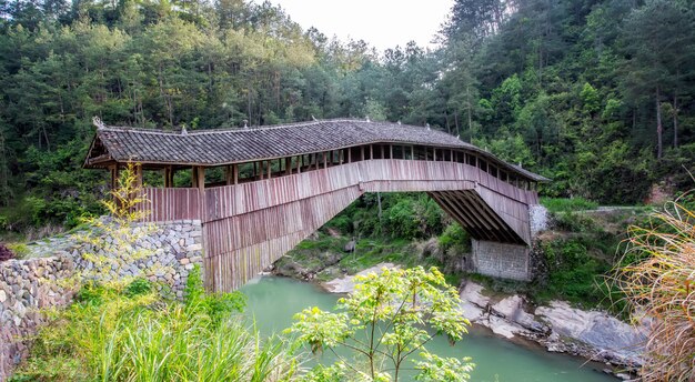 Antyczny Taishun holu most w Zhejiang prowinci, Chiny