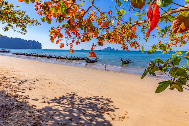 Ao Nang Beach I Poranne światło