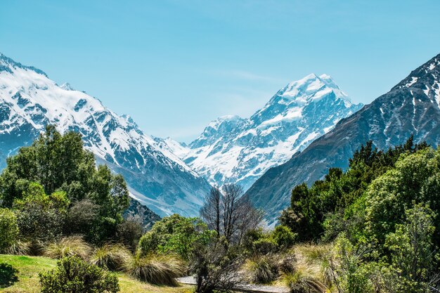 aoraki mount cook najwyższą górę w Nowej Zelandii