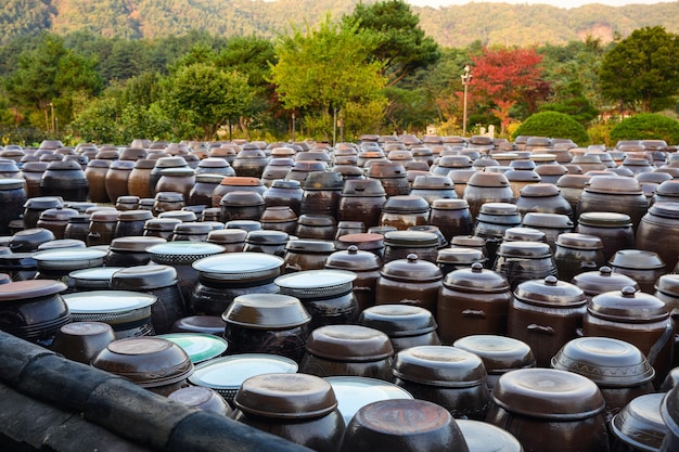 Aranżacja tradycyjnego ceramicznego słoika z fermentacyjnym sosem koreańskim w jesiennym ogrodzie