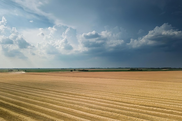 Areal widok pól uprawnych w słoneczny letni dzień. Zbiór pszenicy.