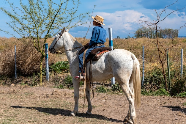 Argentyński gaucho w kreolskich grach zręcznościowych w Patagonii w Argentynie.