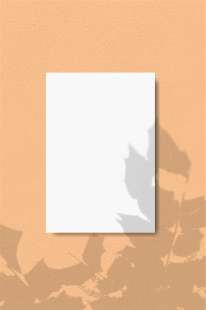 Arkusz białego teksturowanego papieru w kształcie łuku na beżowym tle ściany pokrywa układ z tropikami