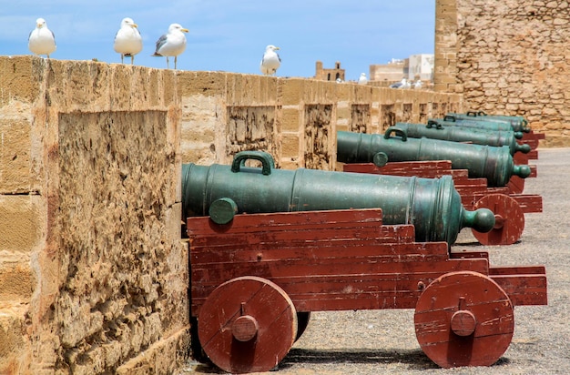 Armaty Essaouira