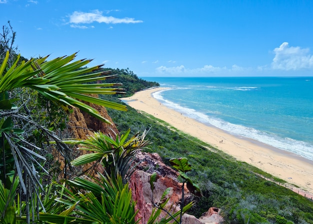 Arraial d'Ajuda to dzielnica brazylijskiej gminy Porto Seguro, na wybrzeżu stanu Bahia, Klif na plaży Pitinga