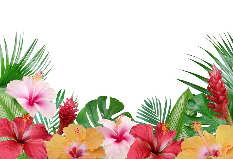 Zdjęcie arrangement tropikalnych kwiatów kwiatów hibiskusa czerwonych kwiatów imbiru z egzotycznymi liśćmi