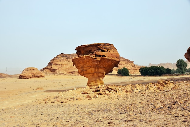 Zdjęcie art rock na pustyni w pobliżu al ula arabia saudyjska