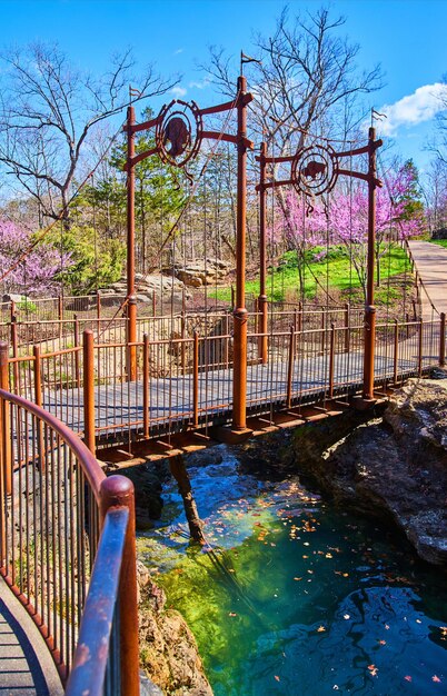 Artystyczny most spacerowy nad pięknym strumieniem z drzewami wiśni wczesną wiosną