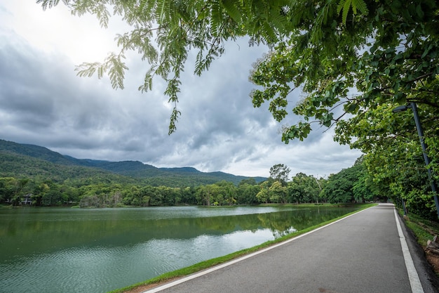 Asfalt czarny szary droga krajobraz jezioro widoki na Uniwersytecie Ang Kaew Chiang Mai w lesie natura Widoki na góry wiosna niebieski niebo tło z białą chmurą
