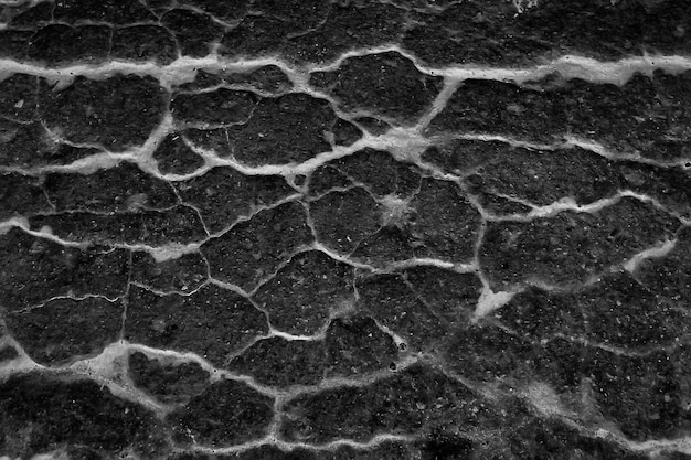 asfalt w pęknięciach tekstura / abstrakcyjne tło pęknięcia na asfaltowej drodze