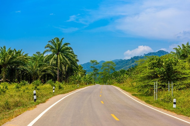 Asfaltowa droga autostradowa w dżungli Park Narodowy Khlong Phanom Ka