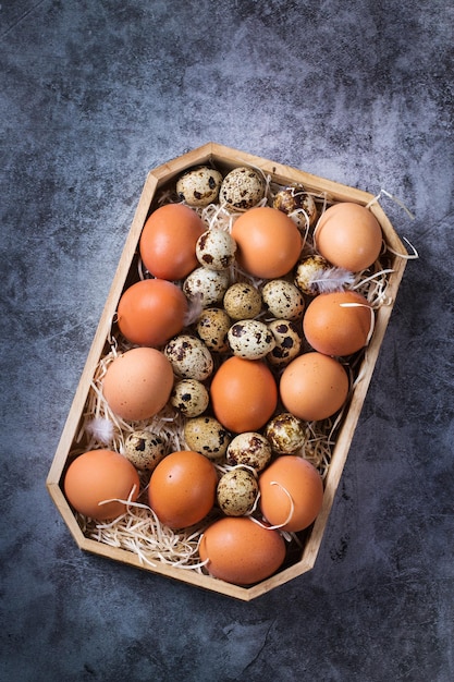 Asortyment ekologicznych świeżych jaj kurzych i przepiórczych