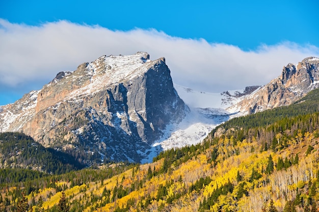 Aspen gaj jesienią w Górach Skalistych