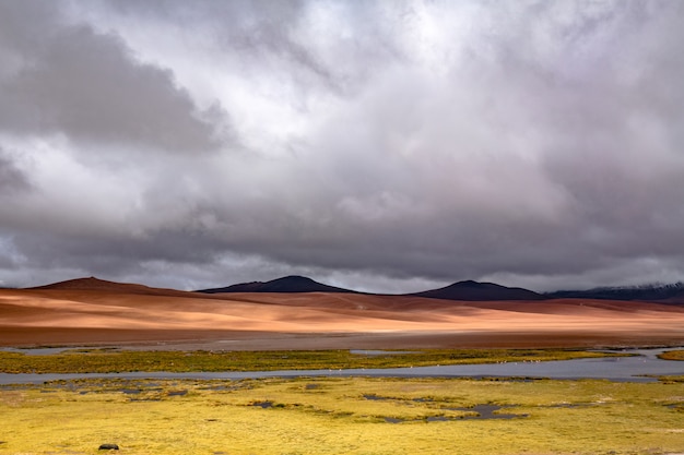 Atacama pustynna sawanna, góry i wulkanu krajobraz, Chile, Ameryka Południowa