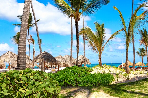 Atlantycka tropikalna plaża z palmami i słomianymi parasolami