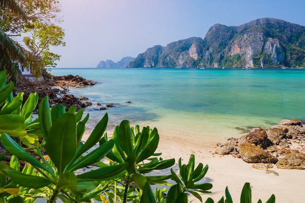 Atmosfera nadmorskiej plaży na wyspie Phi Phi w prowincji Krabi, bardzo czysta woda, piękne morze, biała piaszczysta plaża, mali turyści Między COVID-19 Jest wiele zaparkowanych taksówek. Bez turystów