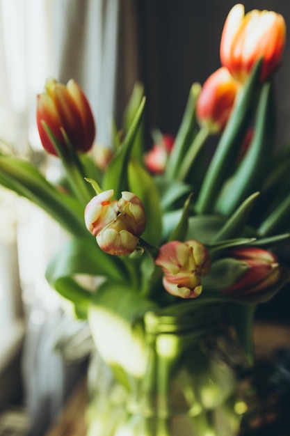 Atmosferyczne Zdjęcie Z Bliska Tulipanów