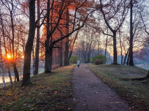 Atmosferyczny jesienny poranek krajobraz ze wschodem słońca i sylwetką kobiety na krętej drodze w parku.