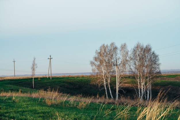 Atmosferyczny Krajobraz Z Liniami Energetycznymi W Zieleni Polu Z Drogą I Drzewami Pod Niebieskim Niebem. Tło Wizerunek Elektryczni Filary Z Copyspace. Przewody Wysokiego Napięcia Nad Ziemią. Przemysł Energii Elektrycznej