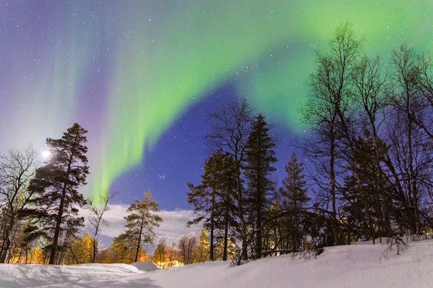 aurora borealis nad lasem ze sztucznym oświetleniem