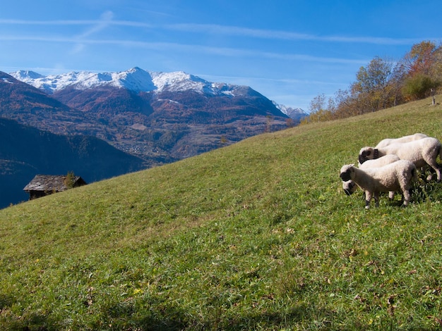 Ausserberg Valais w Szwajcarii