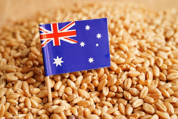 Australia o koncepcji eksportu i gospodarki zbożowej w handlu pszenicą